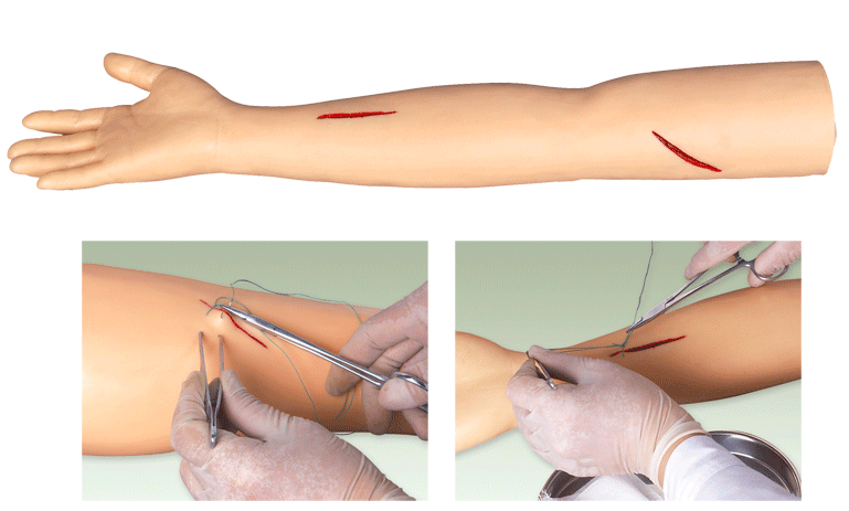 高级外科缝合手臂模型
