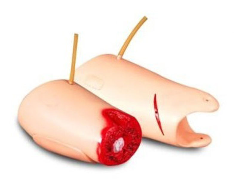 控制出血大腿模型