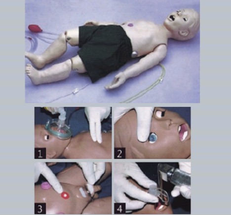 全功能一岁儿童护理及CPR模拟人