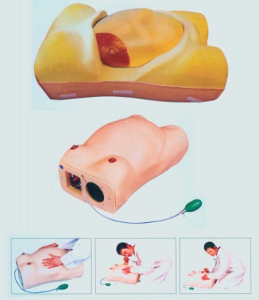 高级电脑孕妇检查模型