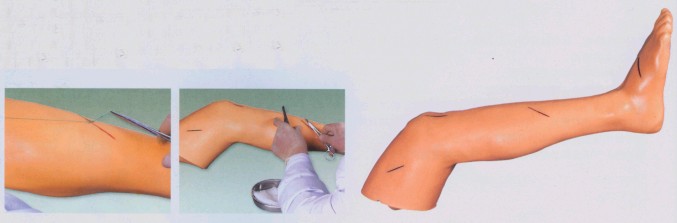 高级外科腿部缝合训练模型
