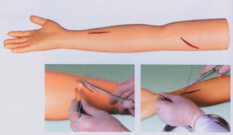 高级外科手臂缝合训练模型
