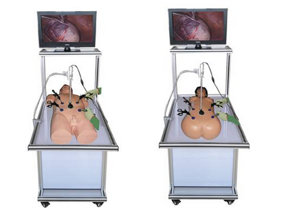腹腔镜手术技能训练人体模型