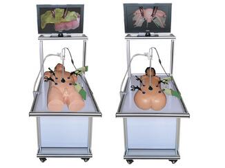腹腔镜手术技能训练人体模型