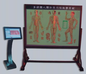 多媒体人体针灸穴位交互数字平台