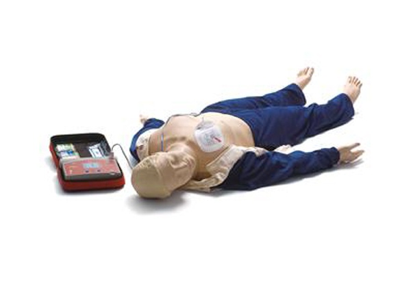 AED复苏安妮显示器和电脑报告仪