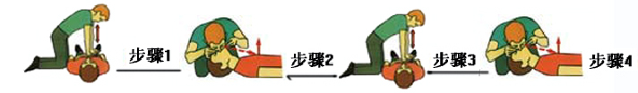 单人考核按考试标准电脑程序操作的规范步骤